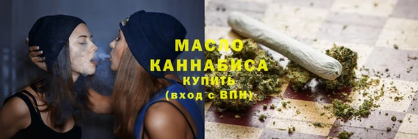 индика Струнино