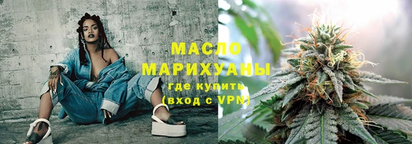 индика Струнино