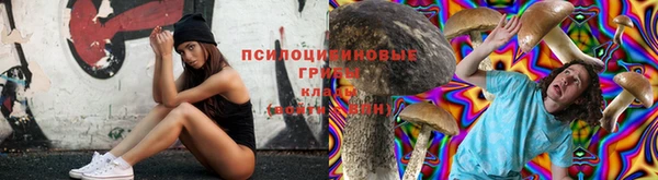 индика Струнино