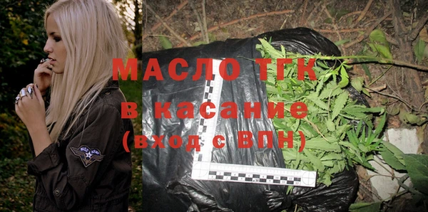 индика Струнино