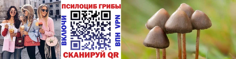 Псилоцибиновые грибы мицелий  Динская 