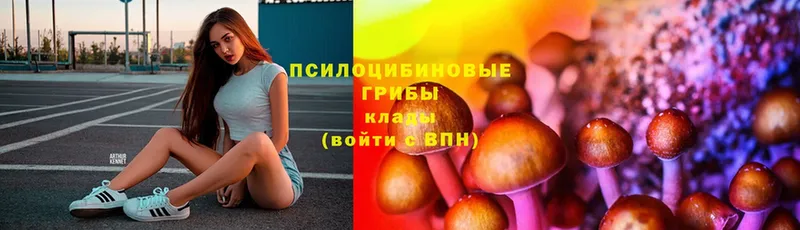 мега как войти  Динская  Псилоцибиновые грибы мухоморы 